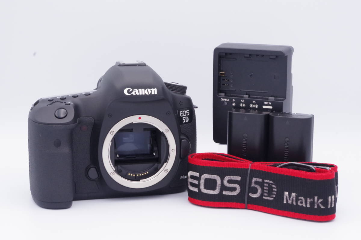 Canon キヤノン EOS 5D Mark III 予備バッテリー付き www.gastech.com.tr