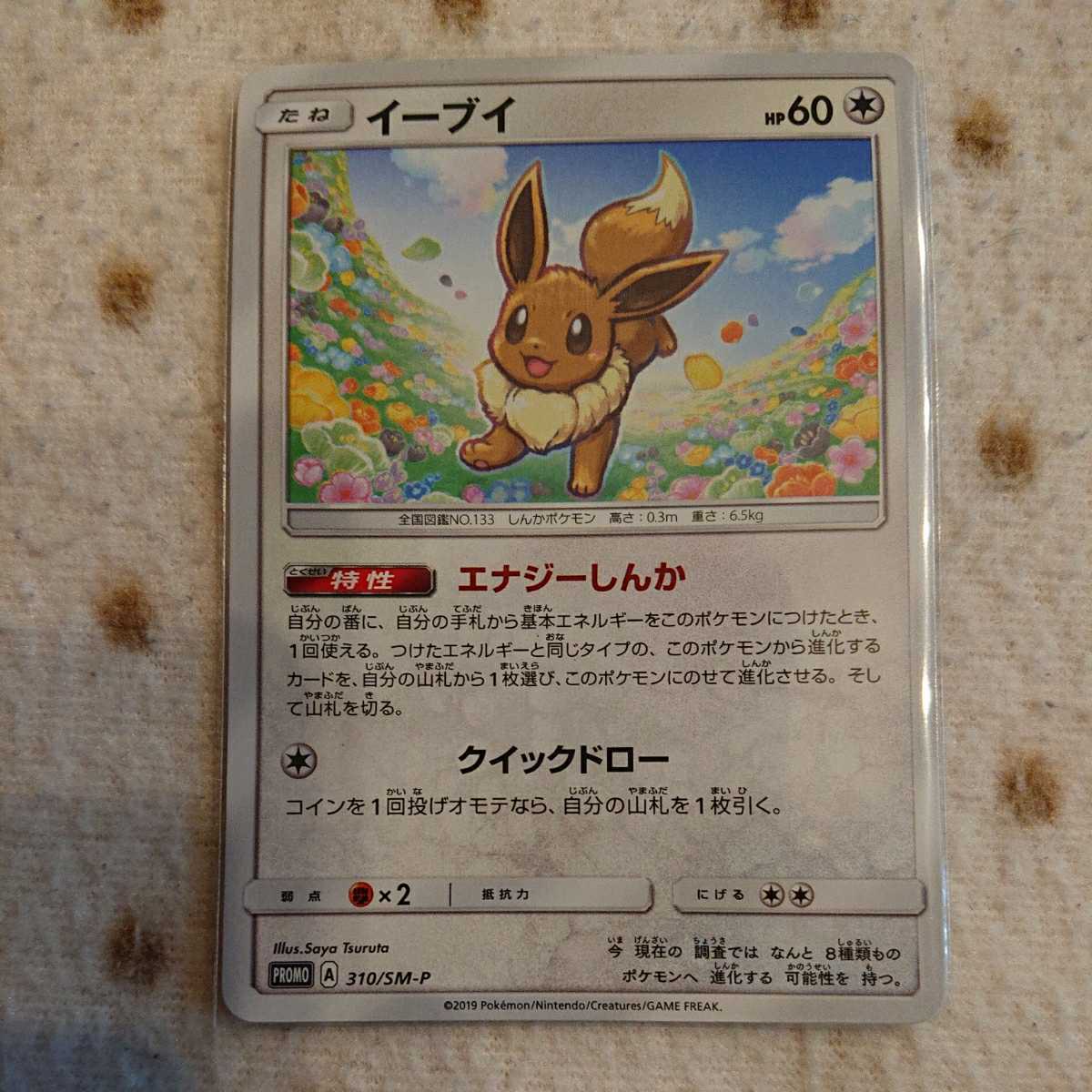 Yahoo!オークション - ポケモン カード SM-P イーブイ エナジー Yahoo!オークション - ポケモン カード SM-P イーブイ エナジー