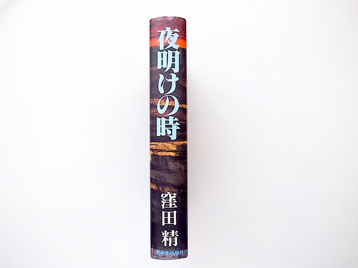 20g◆　夜明けの時 （窪田精,新日本出版社,1987年初版）_画像2