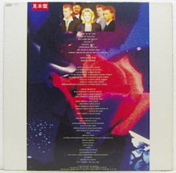 LP,シャカタク SHAKATAK ネヴァストップユアラヴ サンプル白レーベル_画像2