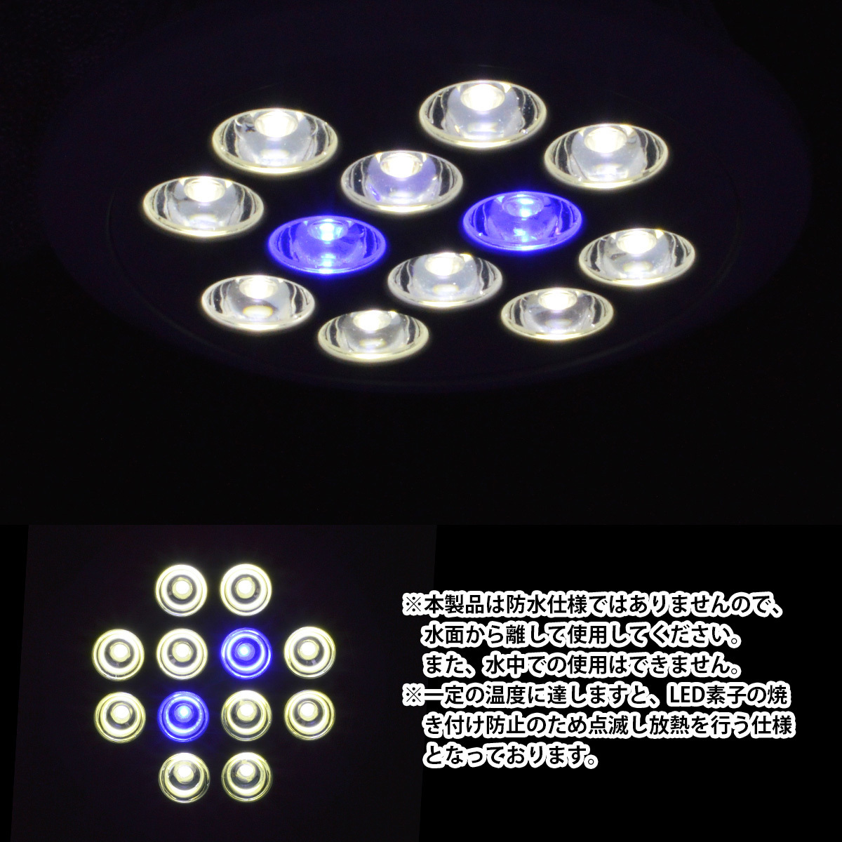 LED 電球 スポットライト 24W(2W×12)白10青2 水槽 照明 E26 LEDスポットライト 電気 水草 サンゴ 熱帯魚 観賞魚 植物育成_画像4