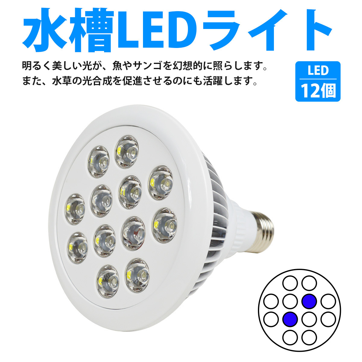LED 電球 スポットライト 24W(2W×12)白10青2 水槽 照明 E26 LEDスポットライト 電気 水草 サンゴ 熱帯魚 観賞魚 植物育成_laqua-b-014-wh-01-a