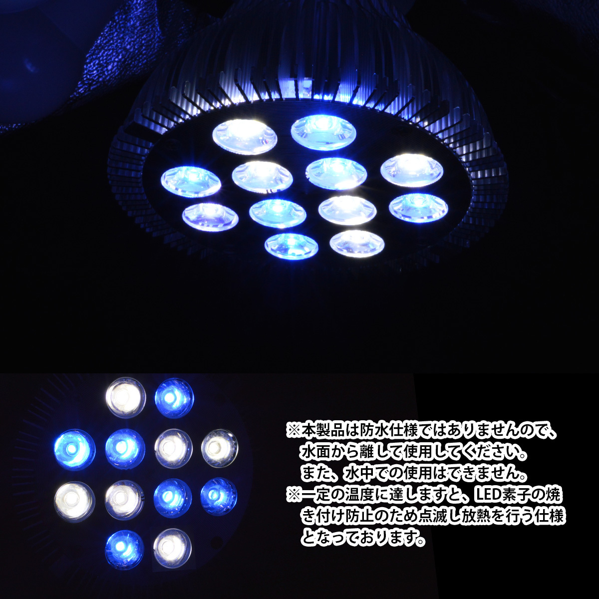 LED 電球 スポットライト 24W(2W×12)白6青6 水槽 照明 E26 水草 LEDスポットライト 電気 水草 サンゴ 熱帯魚 観賞魚 植物育成_画像4