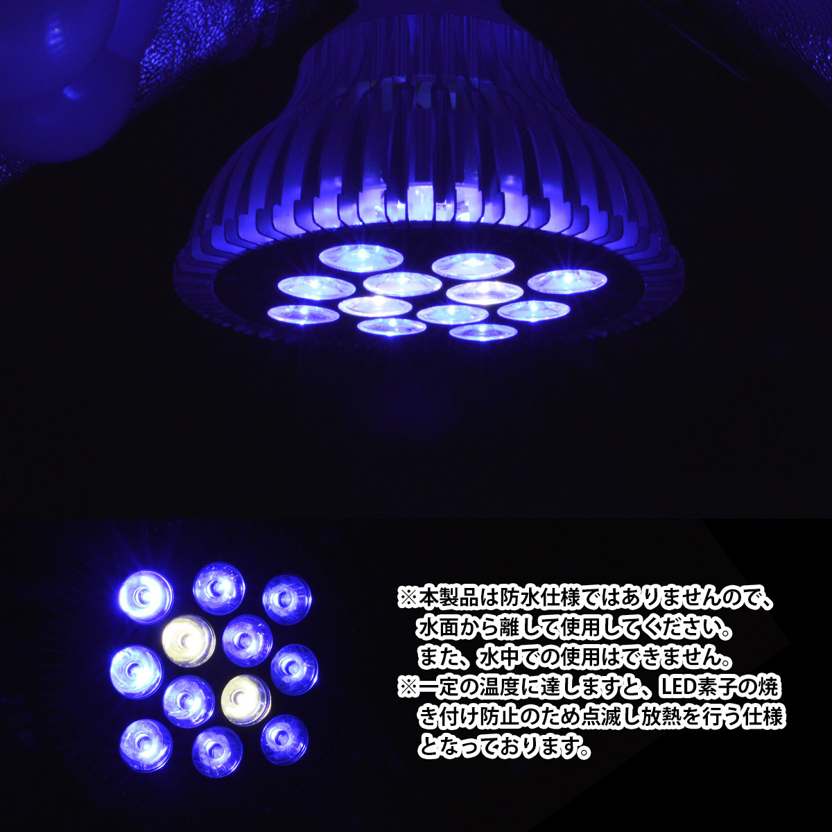 LED 電球 スポットライト 24W(2W×12)青10白2灯 水槽 照明 E26 LEDスポットライト 電気 水草 サンゴ 熱帯魚 観賞魚 植物育成_画像4
