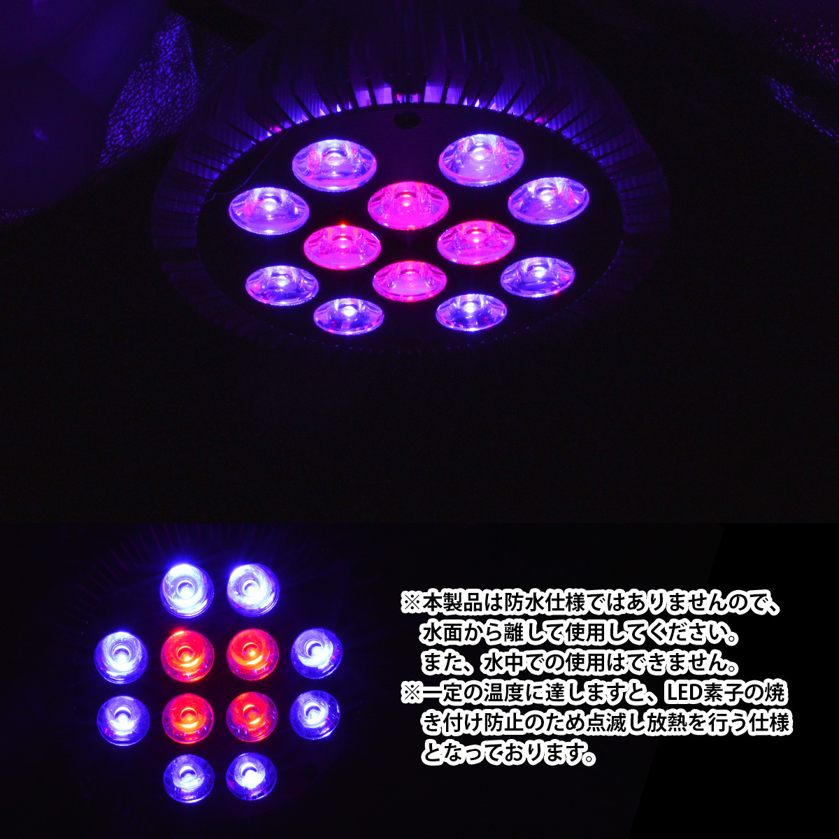 LED 電球 スポットライト 24W(2W×12)青8赤4 水槽 照明 E26 水草 LEDスポットライト 電気 水草 サンゴ 熱帯魚 観賞魚 植物育成_画像4
