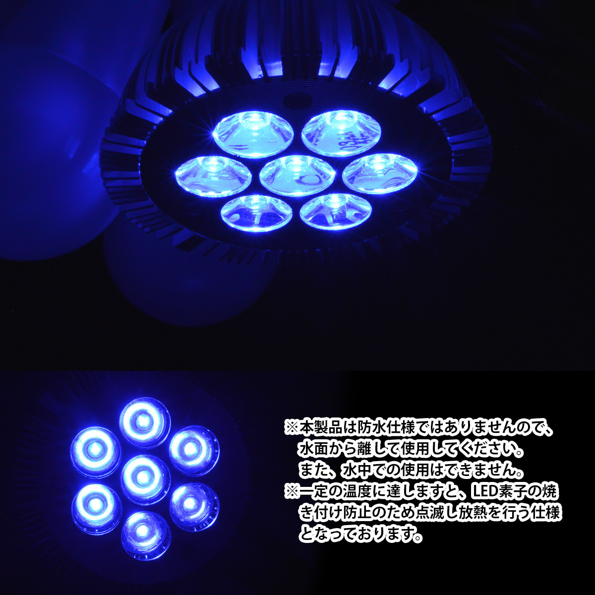 LED 電球 スポットライト青7　照射角60度 水槽 照明 E26 水草 LEDスポットライト 電気 水草 サンゴ 熱帯魚 観賞魚 植物育成_画像4