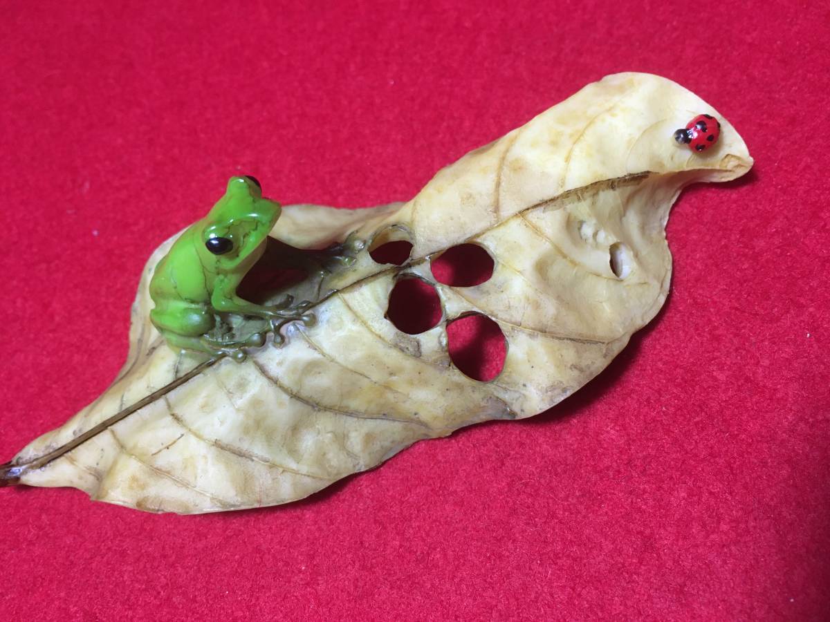 *[ excellent article .]* frog ladybug tent umsi ornament decoration thing ... resin tree. leaf riding . large heaven road insect fake animal real model geo llama tray .