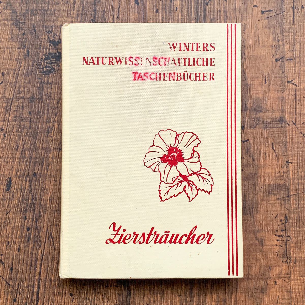 ドイツの古い植物図鑑(Zierstraucher 1955年)/アンティーク ヴィンテージ ヨーロッパ 植物画 花の絵 ボタニカルアート 雰囲気◎/