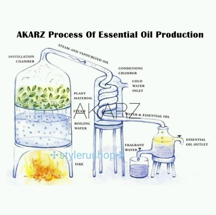 オスマンサス キンモクセイ 金木犀 アロマオイルAKARZエッセンシャル精油10ml ディフューザーマッサージパフューム香水