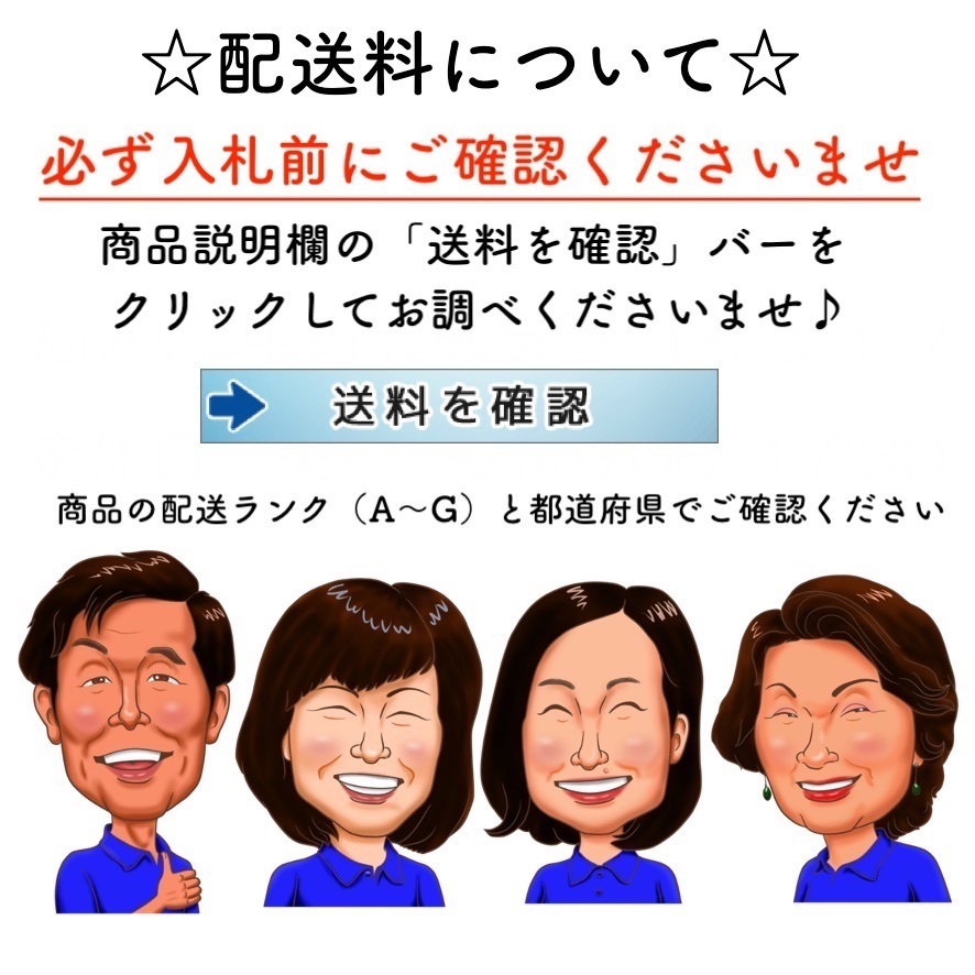 ヤンマー　動力 運搬車　KTG20　油圧ダンプ　ガソリン　最大積載量：450㎏　ジャンク_画像7