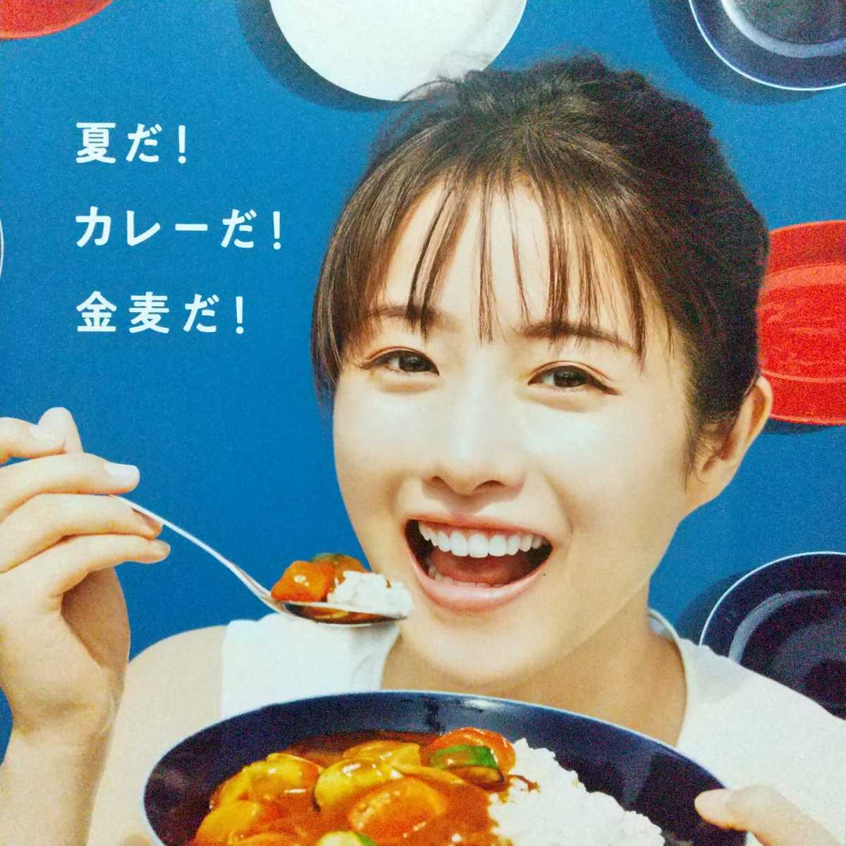  Ishihara Satomi постер золотой пшеница карри тарелка не продается не использовался 