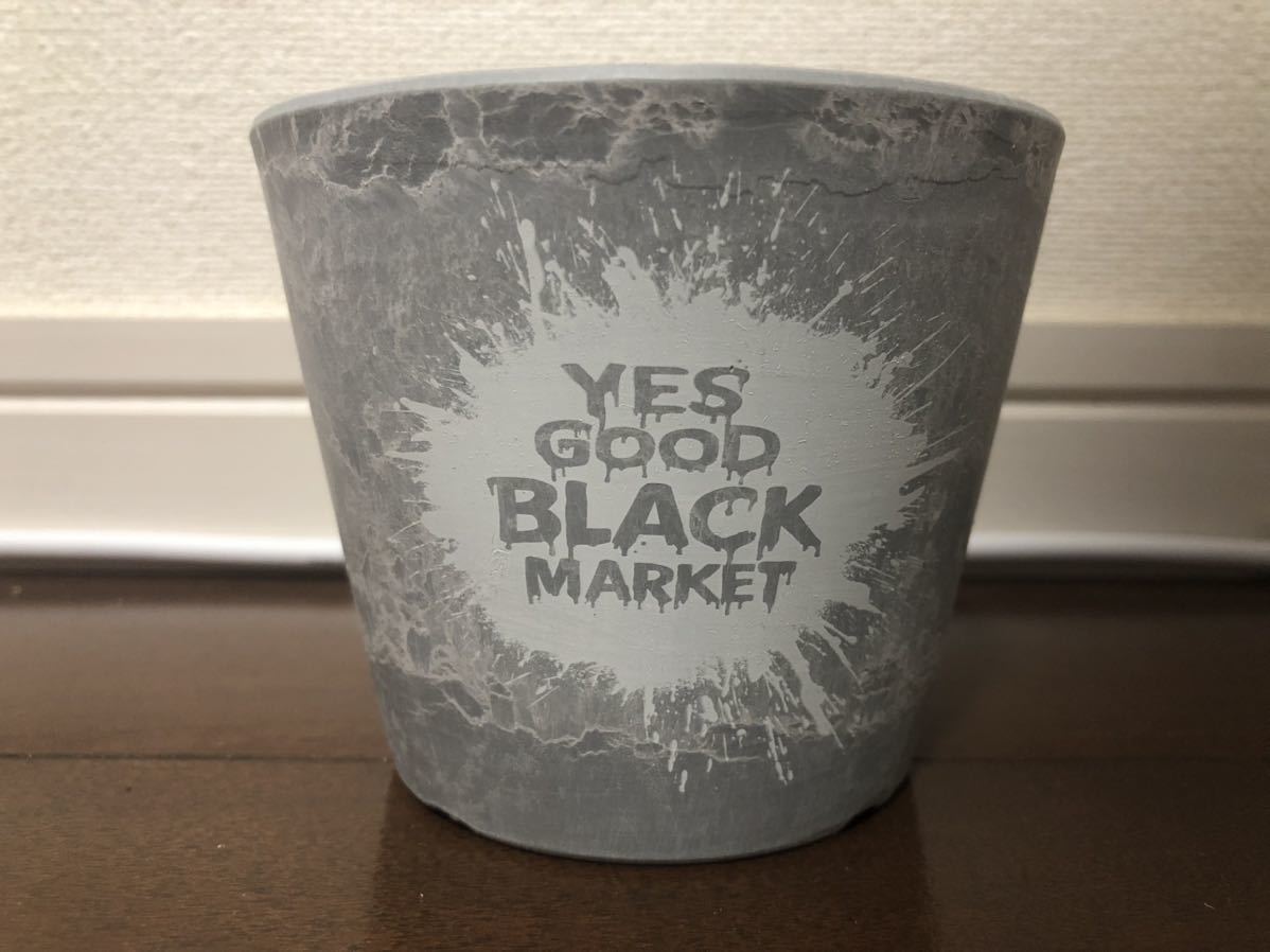 新品未使用 YES GOOD BLACK MARKET プラスチック 鉢 インビジブルインク パキポディウム 塊根植物 invisible ink コピアポア neighborhood_画像1