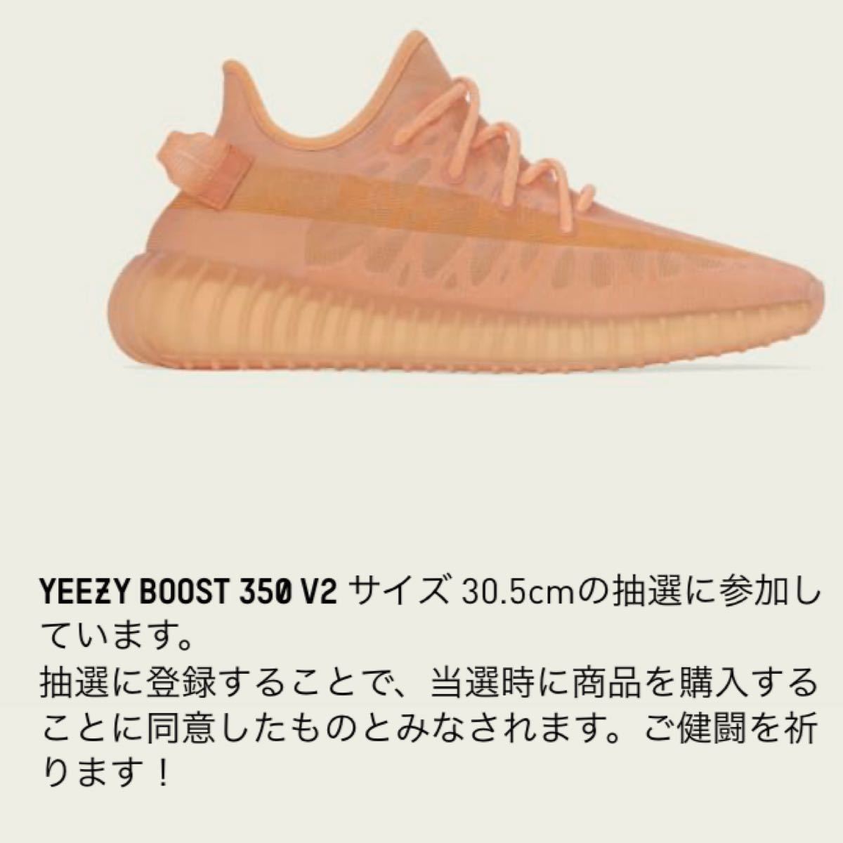 adidasYEEZY BOOST 350 V2 MONO CLAY サイズ 30.5センチ 新品未使用