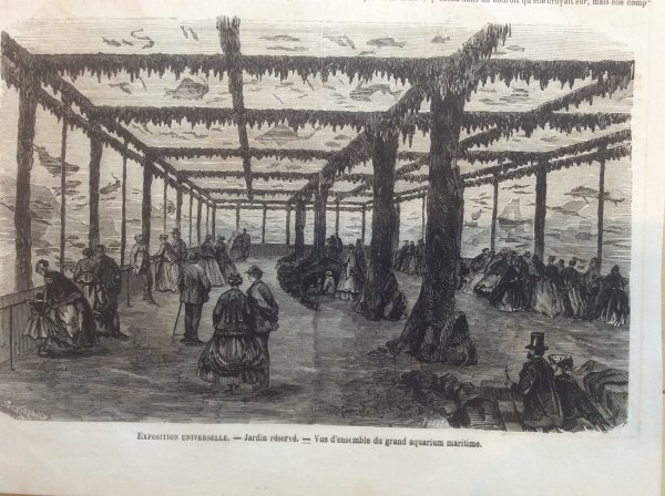 1867年 パリ万博 海水の水族館の内部 オリジナル木版画
