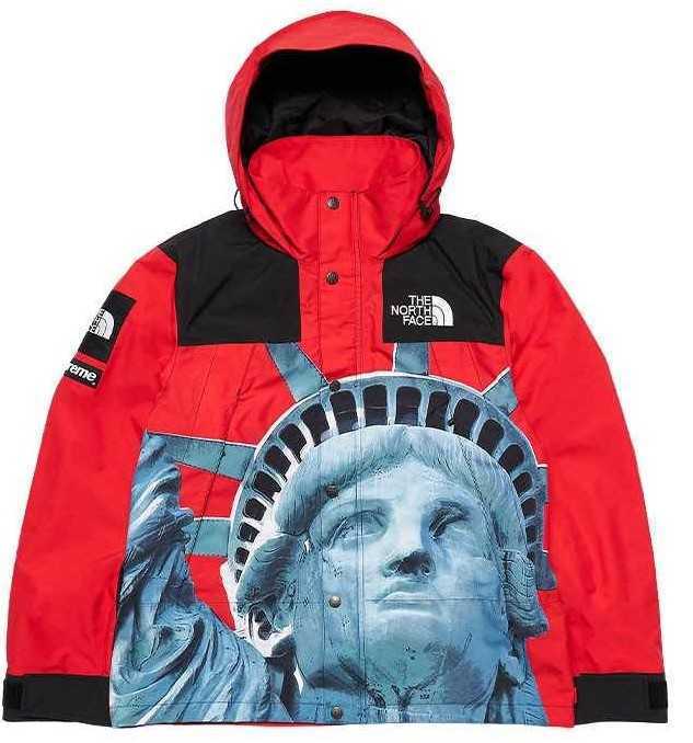 Supreme TheNorthFace マウンテンジャケット　M