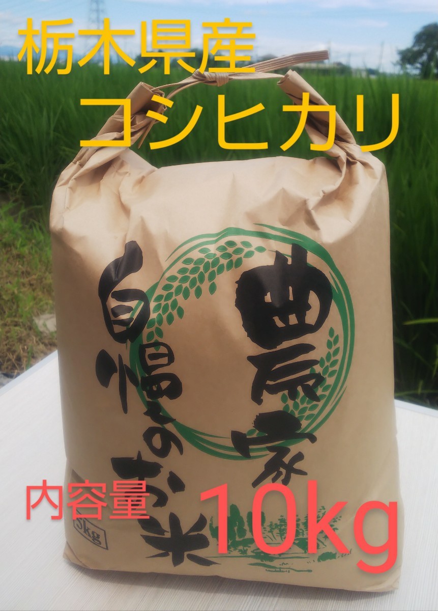 コシヒカリ20kg（5Kg4袋） コシヒカリ