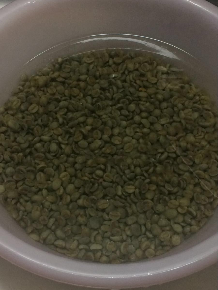 こだわりコーヒー豆　ウガンダ　300g 中深煎り　アフリカンスノー　新パッケージで発送