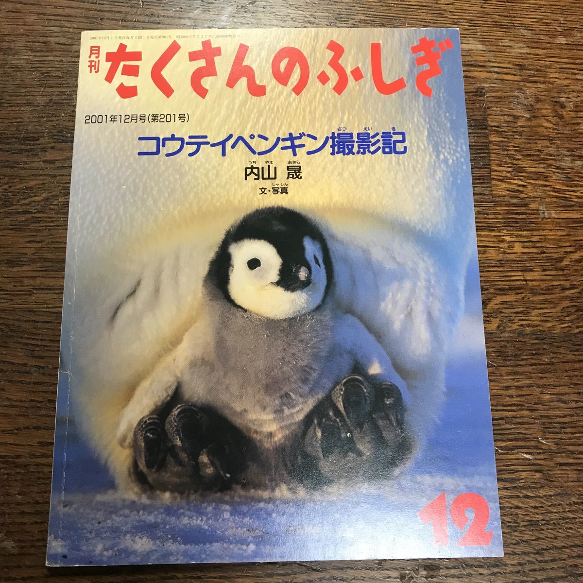  monthly many. ... low and high penguin photographing chronicle inside mountain .( writing * photograph ) [m1-1]