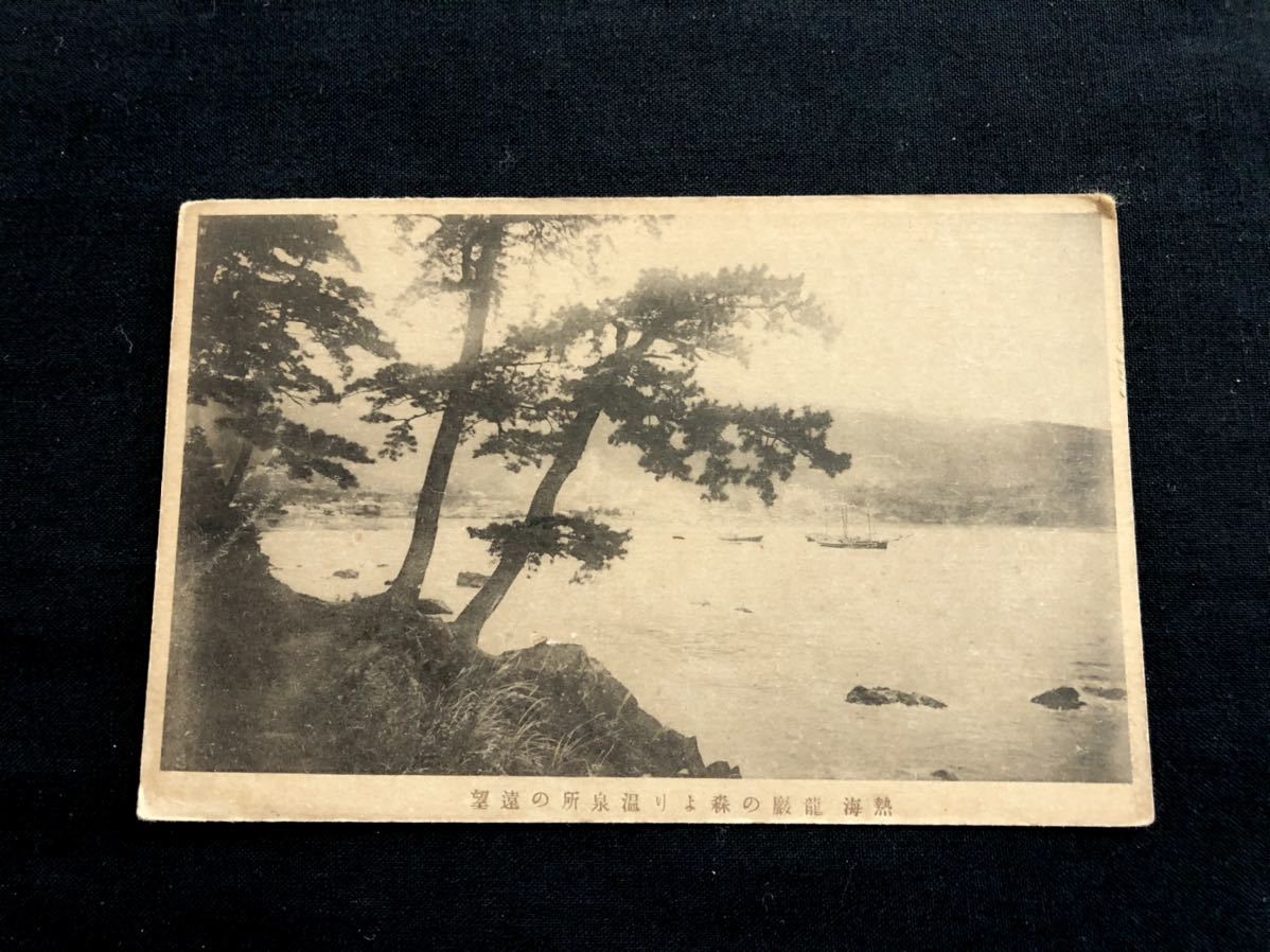 【戦前絵葉書・静岡】熱海 龍巌の森より温泉所の遠望_画像1