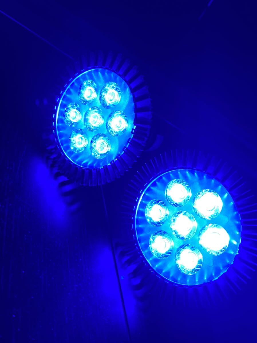 ゼンスイ　ZENSUI LED PLUS 60cm シャイニングブルー 2本　水槽用照明 ライト 海水魚 サンゴ + 7Wスポットライト（ブルー）2個_画像7