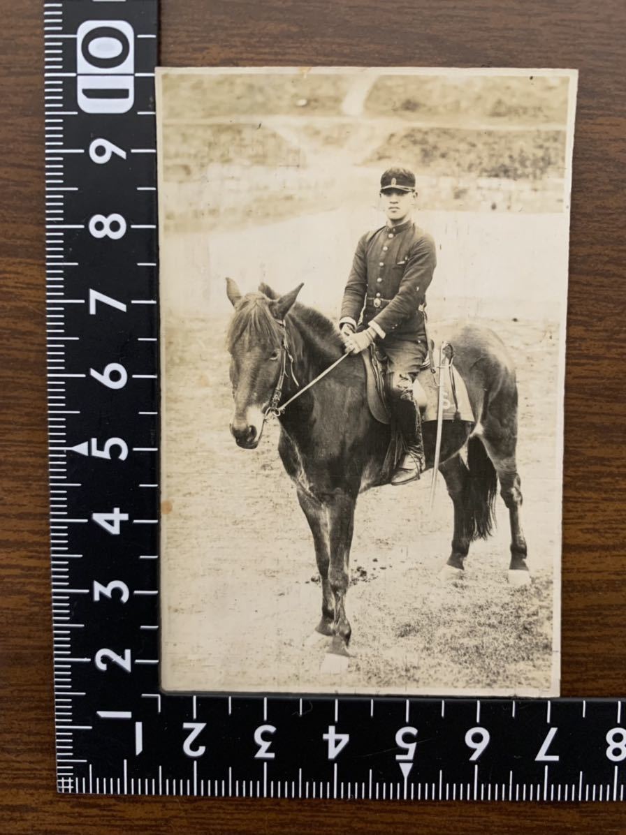 Yahoo!オークション - 騎兵 古写真 1枚 / 日本軍 軍馬 騎兵隊 Yahoo!オークション - 騎兵 古写真 1枚 / 日本軍 軍馬 騎兵隊