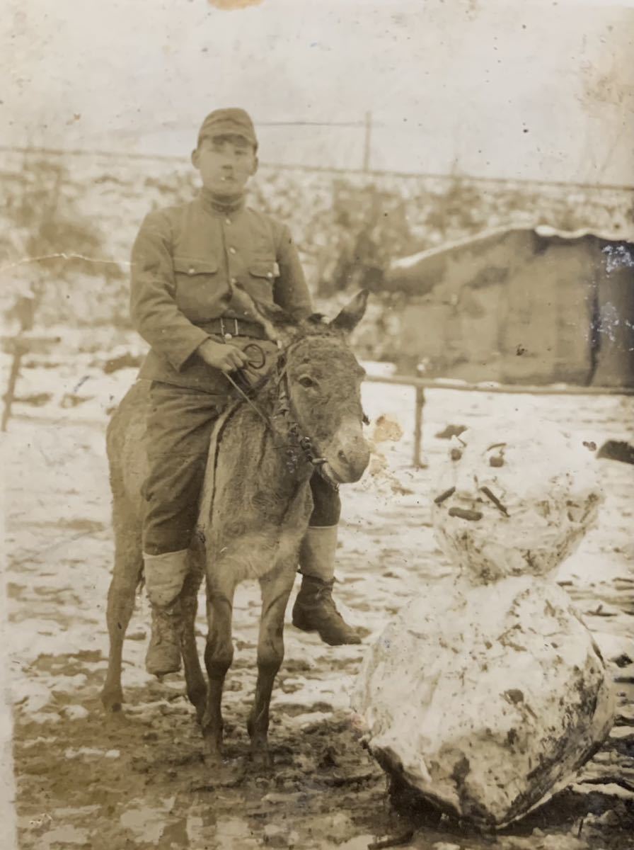 Yahoo!オークション - 騎兵 古写真 裏書き 1枚/ 日本軍 軍馬 Yahoo!オークション - 騎兵 古写真 裏書き 1枚/ 日本軍 軍馬