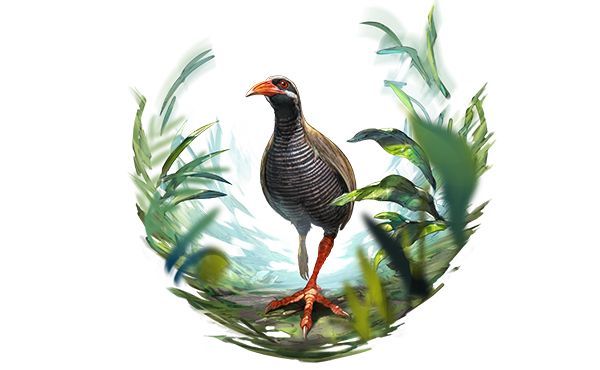 グランブルーファンタジー 主人公ジョブスキン ヤンバルクイナ Sr以上武器確定 エリクシール シリアルコード グラブル Happy New Genesis おもちゃ ゲーム 売買されたオークション情報 Yahooの商品情報をアーカイブ公開 オークファン Aucfan Com グランブルーファンタジー 主人公ジョブスキン ヤンバルクイナ Sr以上武器確定 エリクシール シリアルコード グラブル Happy New Genesis おもちゃ ゲーム 売買されたオークション情報 Yahooの商品情報をアーカイブ公開 オークファン Aucfan Com