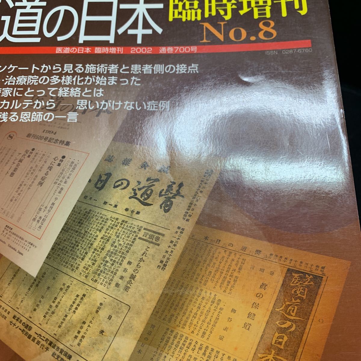 医道の日本 臨時増刊 No.8　創刊700号記念4大特集号 鍼灸 はりきゅう 鍼灸 あん摩 指圧 マッサージ 治療院 経絡 経穴 中医学 漢方