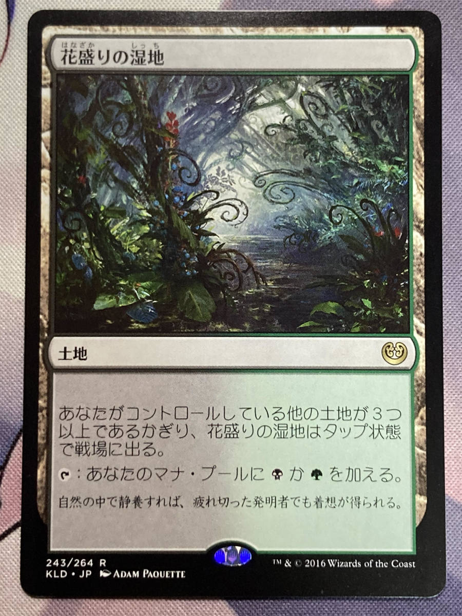 Mtg 花盛りの湿地 Blooming Marsh Kld 日本語 Prevoz Srbija Nemacka Rs Mtg 花盛りの湿地 Blooming Marsh Kld 日本語 Prevoz Srbija Nemacka Rs