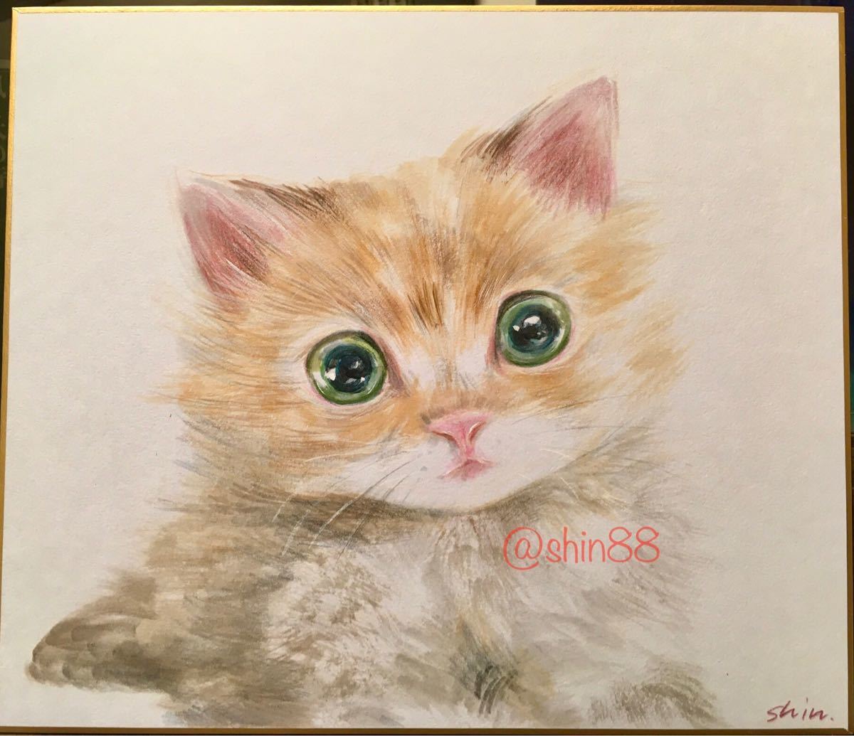 手描きアナログイラスト　オリジナルアクリルガッシュ色鉛筆画　マンチカン子猫　no.3