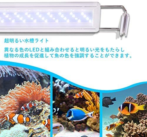 ★色:2色-40LED★ LEDGLE 水槽ライト 8W アクアリウム ライト 30～40CM水槽対応 40LED(5青35白) LED 魚ライト 水槽照明 水草育成_画像6