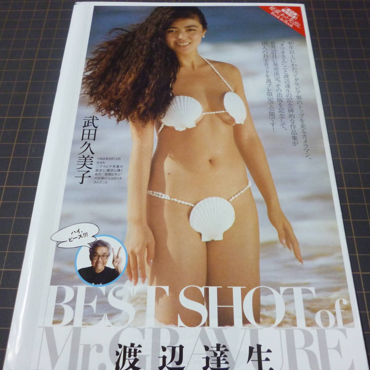 ◎Book in Book☆武田久美子☆常盤貴子☆上戸彩☆一色紗英☆マギー☆安田美沙子☆前田敦子☆大島優子☆小嶋陽菜 #貝殻ビキニ【切り抜き8p】_画像1