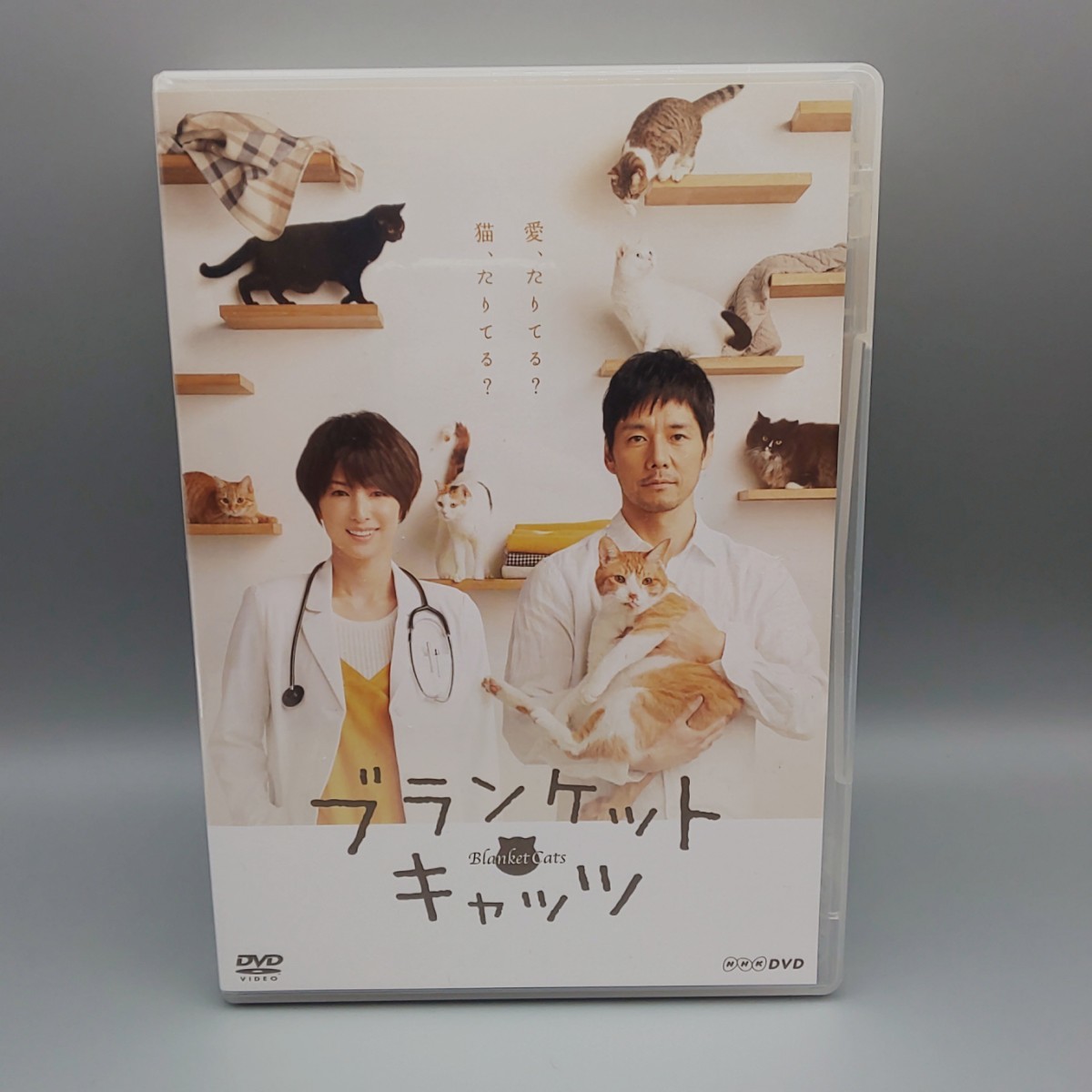 ブランケット・キャッツ　未開封DVD-BOX　西島秀俊　吉瀬美智子　島崎遥香