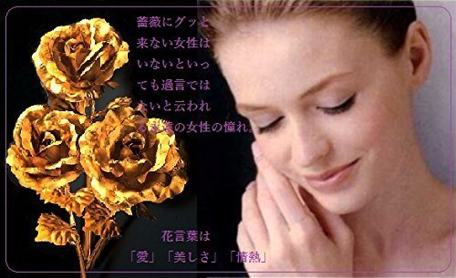 ヤフオク 5本セット 1本 定価1万円 純金の薔薇 黄金の薔 ヤフオク 5本セット 1本 定価1万円 純金の薔薇 黄金の薔