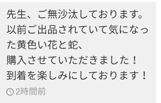 陰陽師お守り金運開運縁起ご加護お守りあなたに神職が手作りし配達します。艶々最大お守り金運開運幸せパワー人気再販_画像6