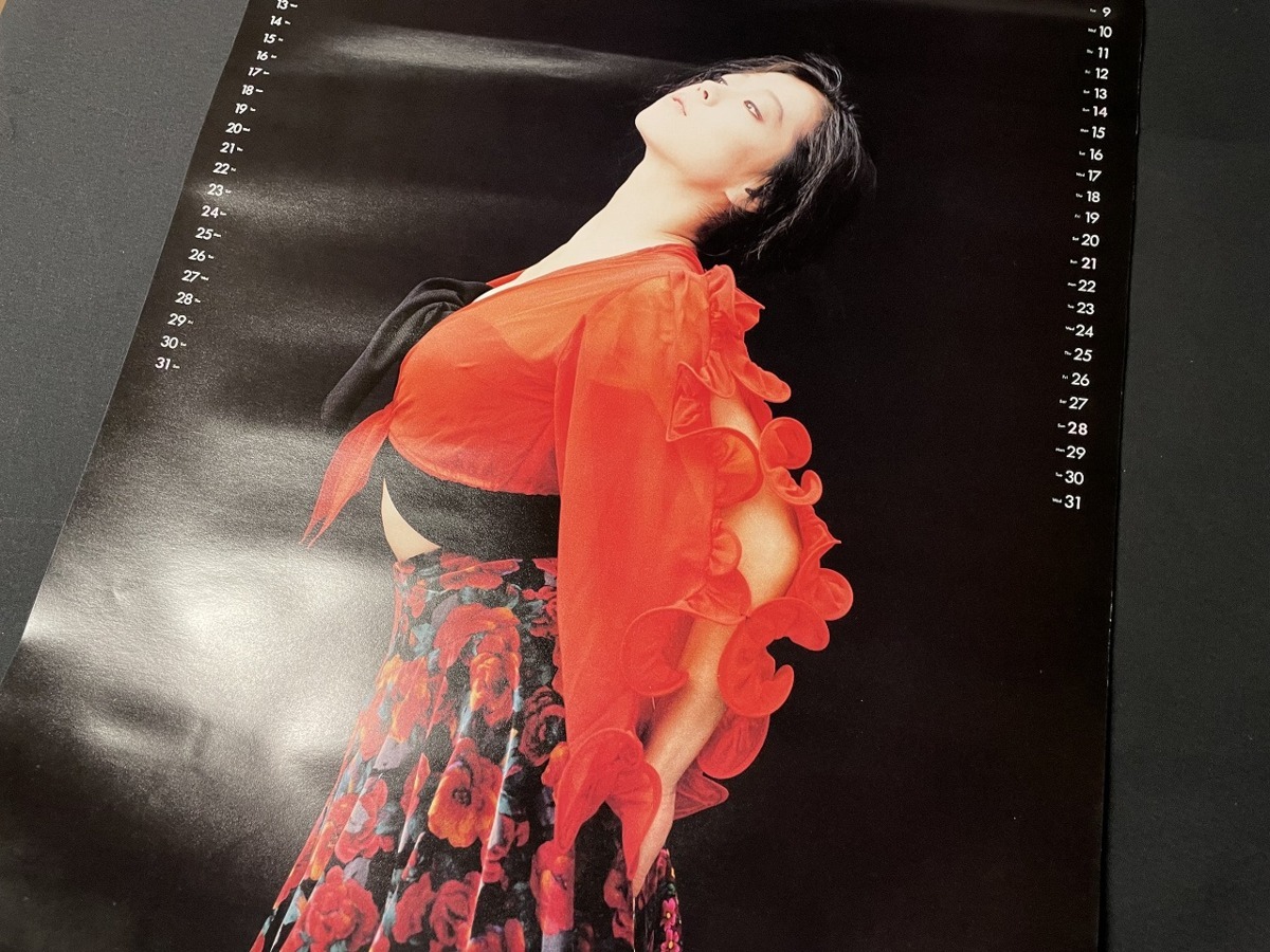 ｊ▲8* ジャンク 中森明菜 1988年カレンダー 1部 表紙含む10枚 ドレス姿 当時物/F27②の画像8