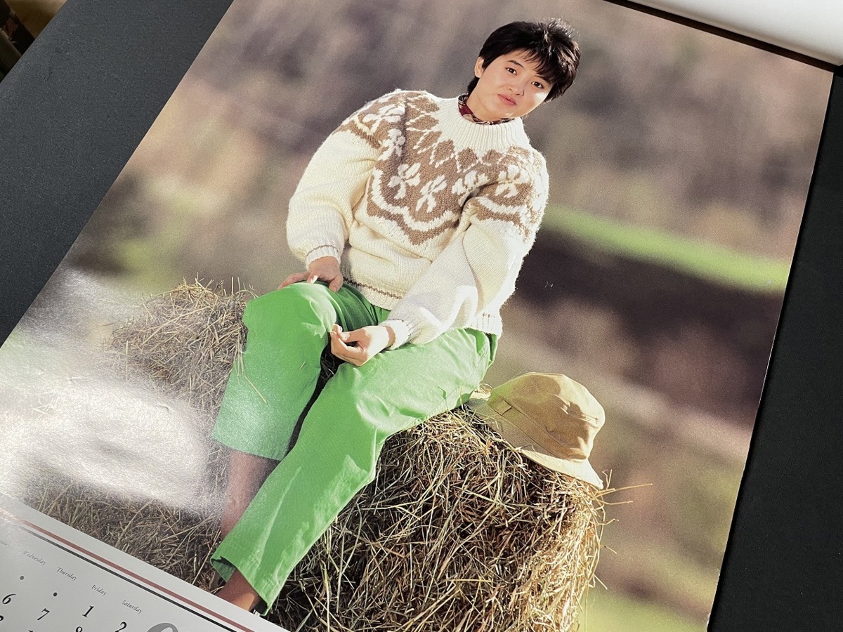 ｊ▲8* ジャンク 荻野目洋子 1989年カレンダー 1部 表紙含む7枚 私服風 ワンピース セーター姿 当時物/F27⑥の画像6