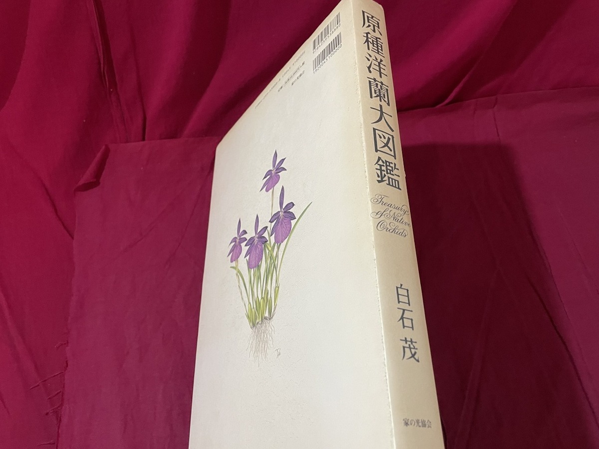 j^6*. kind . orchid large illustrated reference book work * white stone .1999 year no. 1 version house. light association . flower plant /F102