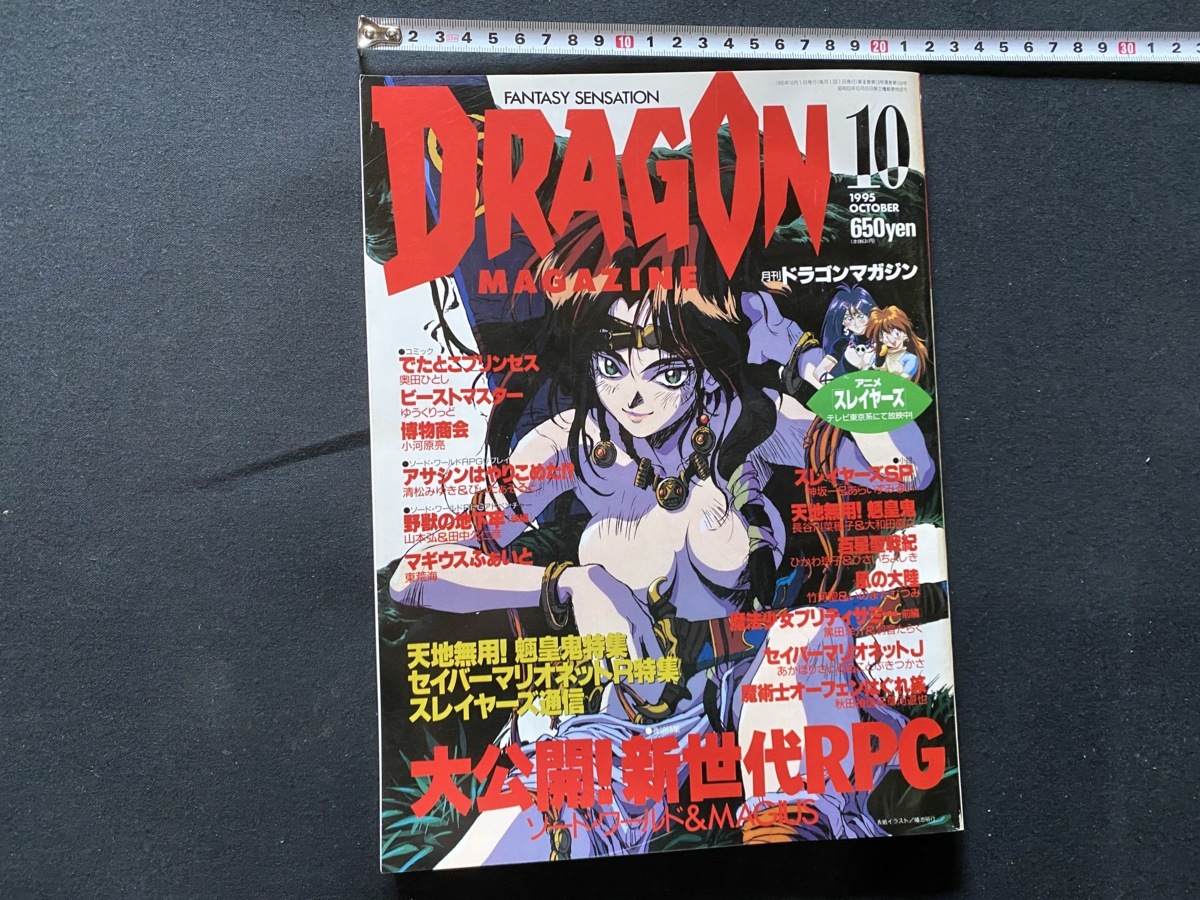 ｃ ○ 月刊ドラゴンマガジン 1995年 10月号 スレイヤーズ 富士見書房 F60