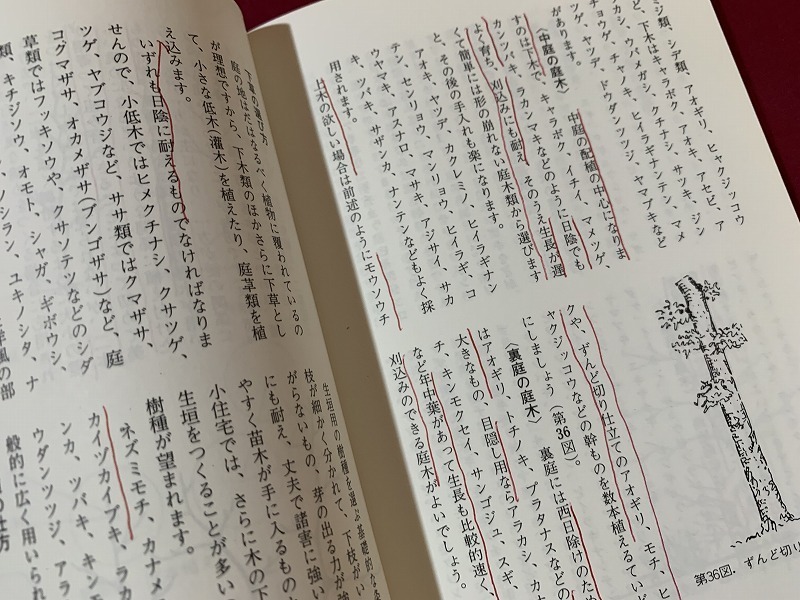 ｓ●○　昭和書籍　カラーブックス351　小住宅の庭　著・吉田徳治　保育社　昭和54年 重版　当時物　昭和レトロ　　/ B36_画像5