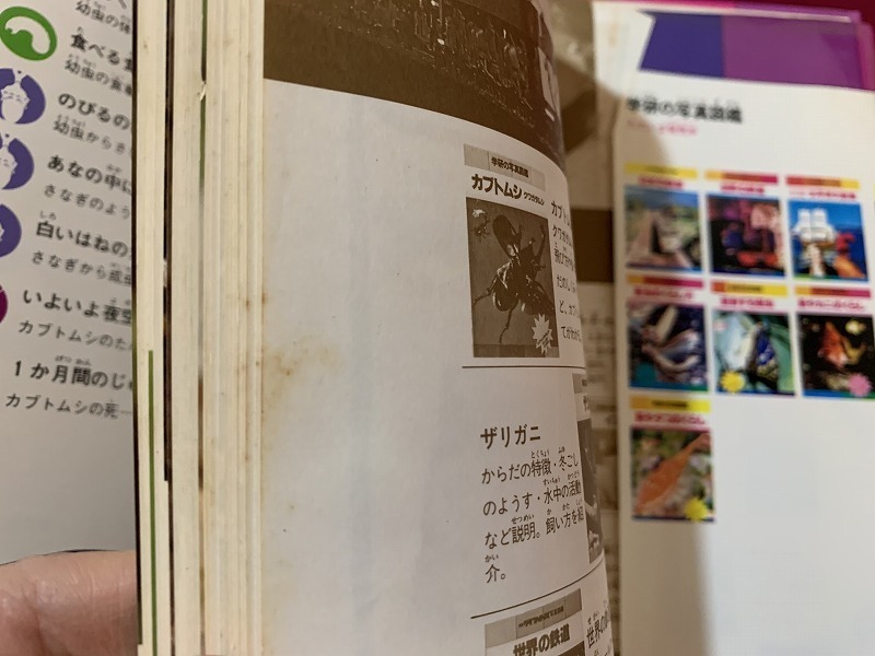 s*0 Showa era period Gakken. photograph illustrated reference book rhinoceros beetle stag beetle ..* black . good . guidance * Aoki good Showa era 62 year no. 16. that time thing Showa Retro / G5