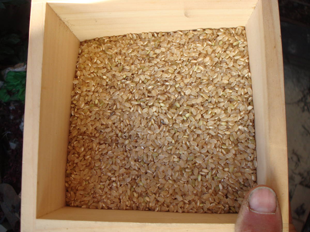岡山県産 無肥料農薬不使用 自然栽培米 天日干し 20キロ アケボノ Ｒ３年度産 玄米