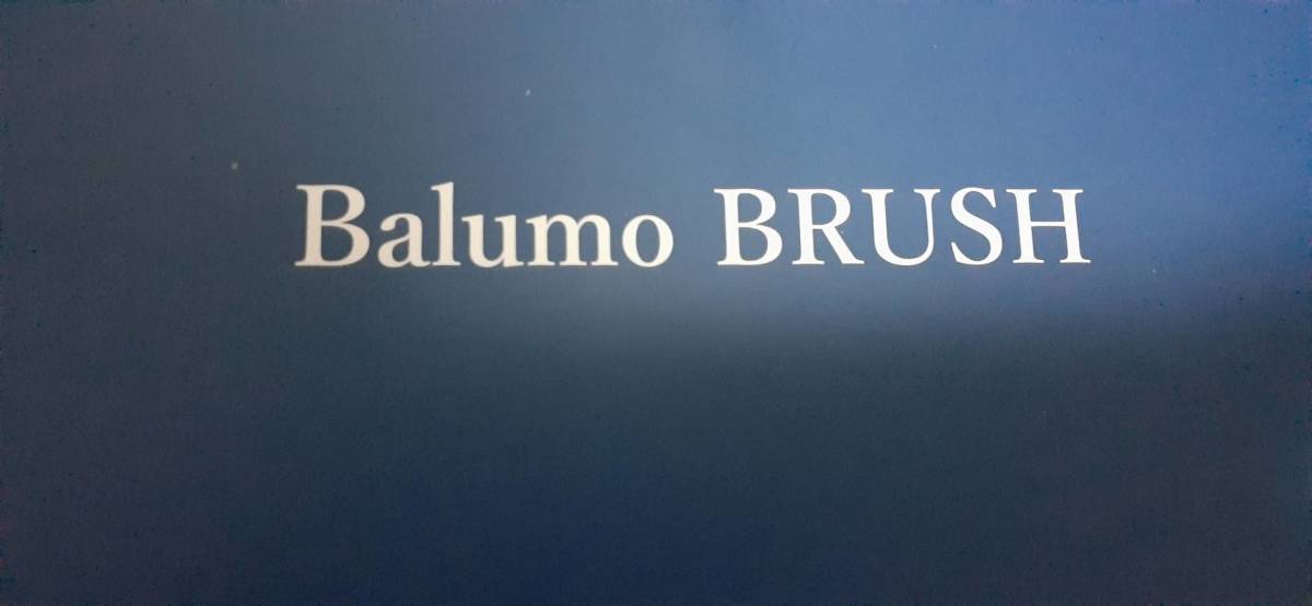 ★送料無料★新品未使用品★ ブラシ型美容育毛機器 Balumo BRUSH（バルモブラッシュ）AGAスキンクリニック監修_画像3