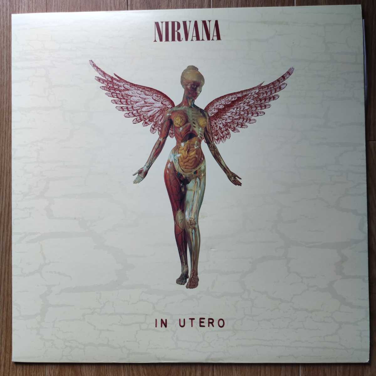 Yahoo!オークション - 【1996年/国内初版】Nirvana「In Utero Yahoo!オークション - 【1996年/国内初版】Nirvana「In Utero