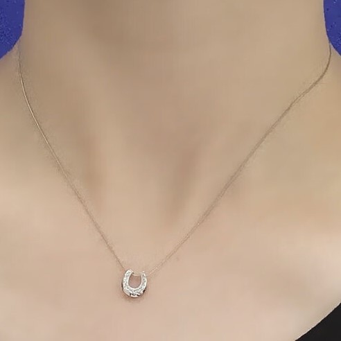 新品】ダイヤモンド0.06ct/馬蹄/プラチナネックレスpt900/pt850