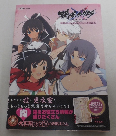 人気商品 【非売品】閃乱カグラ 販促 告知 ゲーム ポスター B2