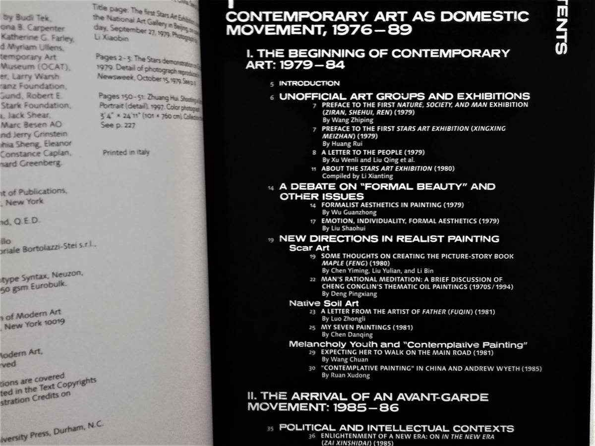 Wu Hung / Contemporary Chinese Art Primary Documents 中国 現代 前衛 美術 アート MoMA_画像3