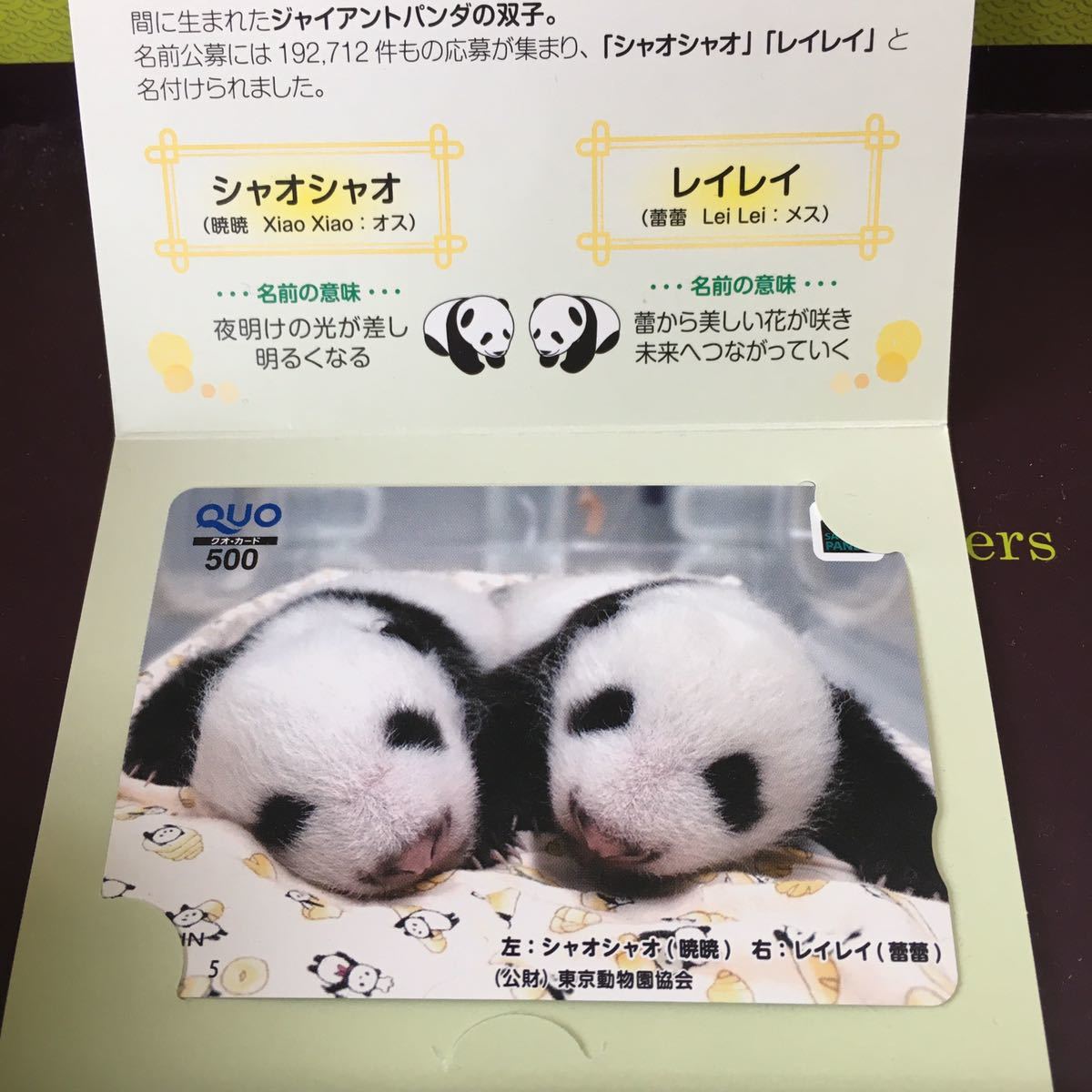 限定 クオカード 上野動物園 双子パンダ シャオシャオ＆レイレイ 専用 