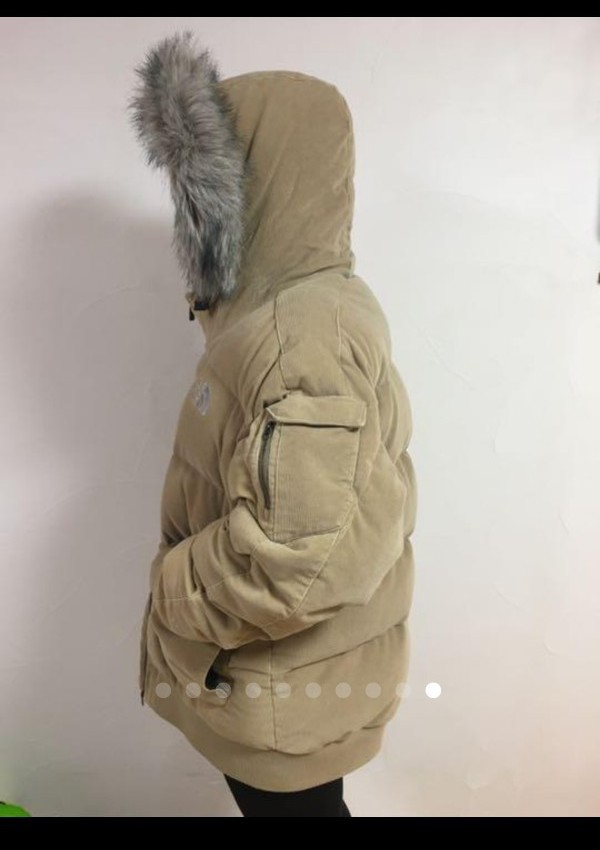 THE NORTH FACE ゴッサム 海外モデル オンラインストア入荷 メンズ
