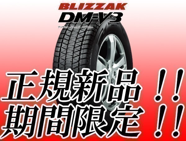 ブリヂストン BLIZZAK ブリザック DM-V3 DMV3 225/55R19 ic.sch.id
